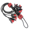 Correct Me Martinet Eight Roses 55cm